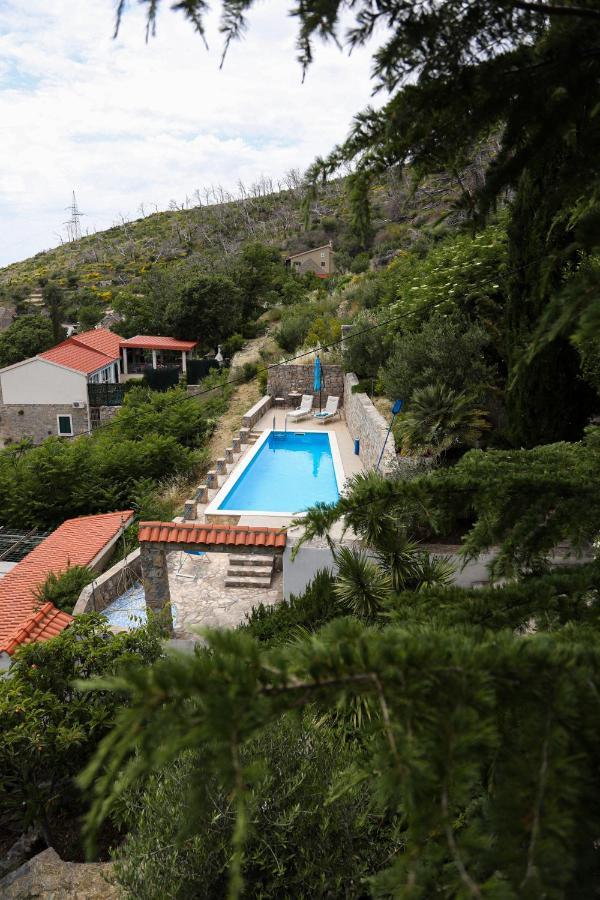 Villa Blanka Žrnovnica 外观 照片